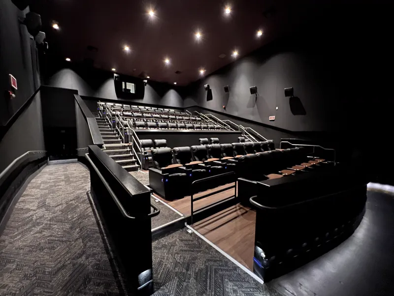 Cinema auditorium from the entry showing the tiered seating platforms, stairs and stainless handrails